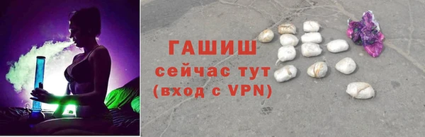 индика Пенза