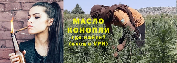 индика Пенза
