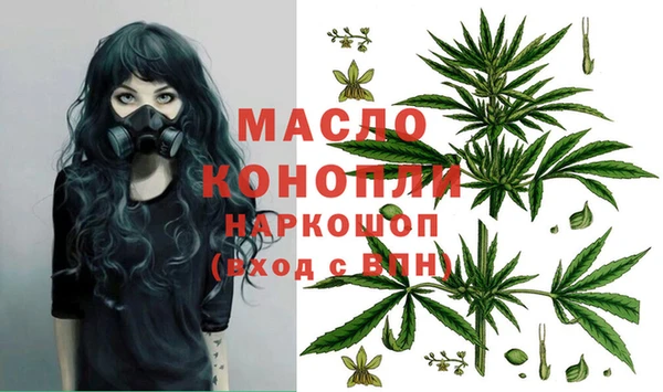 индика Пенза