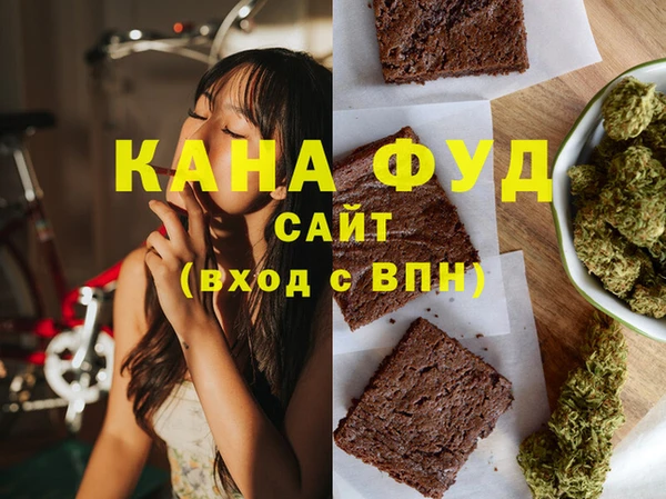 индика Пенза