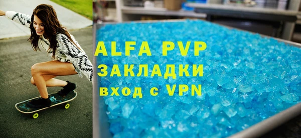 индика Пенза