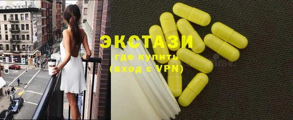 индика Пенза
