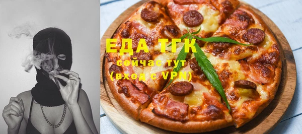 индика Пенза
