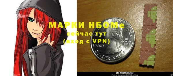 индика Пенза