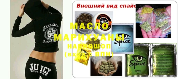индика Пенза