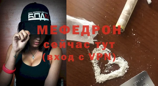 индика Пенза
