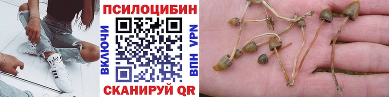 Псилоцибиновые грибы GOLDEN TEACHER  купить   мега ONION  Электросталь 