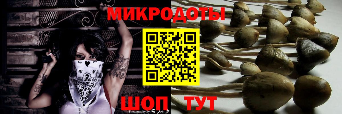 Псилоцибиновые грибы GOLDEN TEACHER Электросталь
